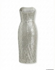 Silver Baguette Dress